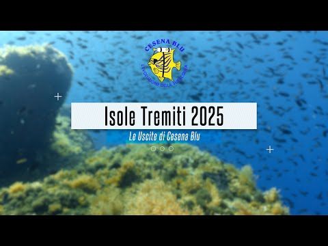 immagine di anteprima del video: Tremiti 2025